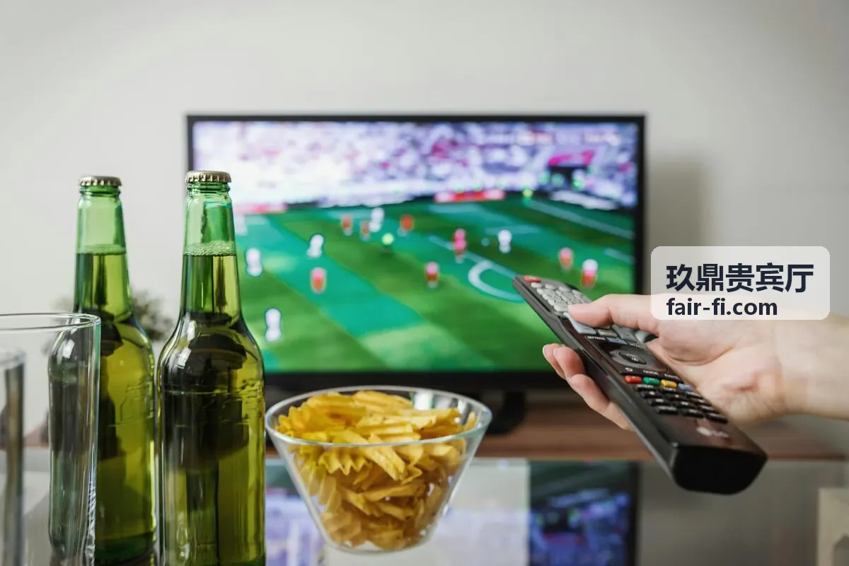 玖鼎贵宾厅案例
